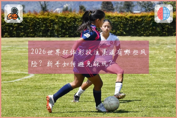 2026世界杯体彩投注渠道有哪些风险？新手如何避免踩坑？