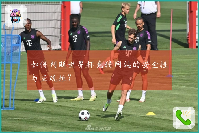 如何判断世界杯竞猜网站的安全性与正规性？